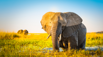South Africa