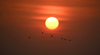 Winter Sun in The Gambia-1